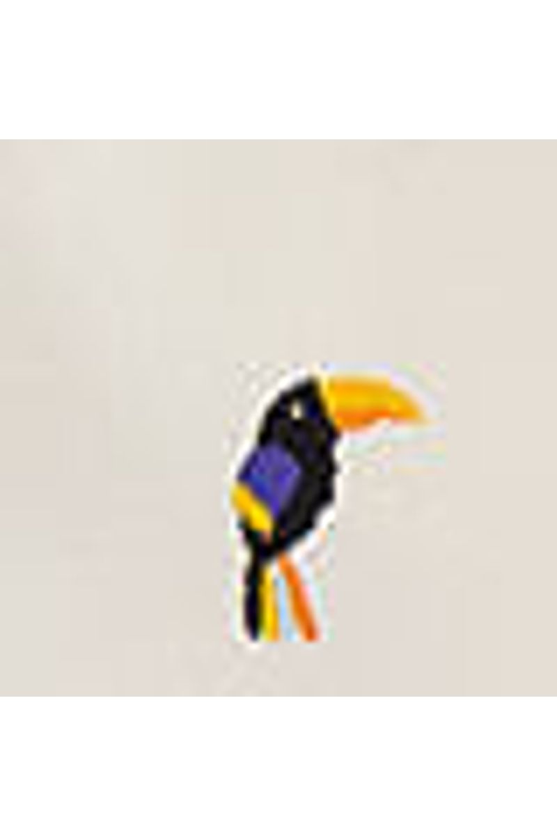 Bermuda Tucan