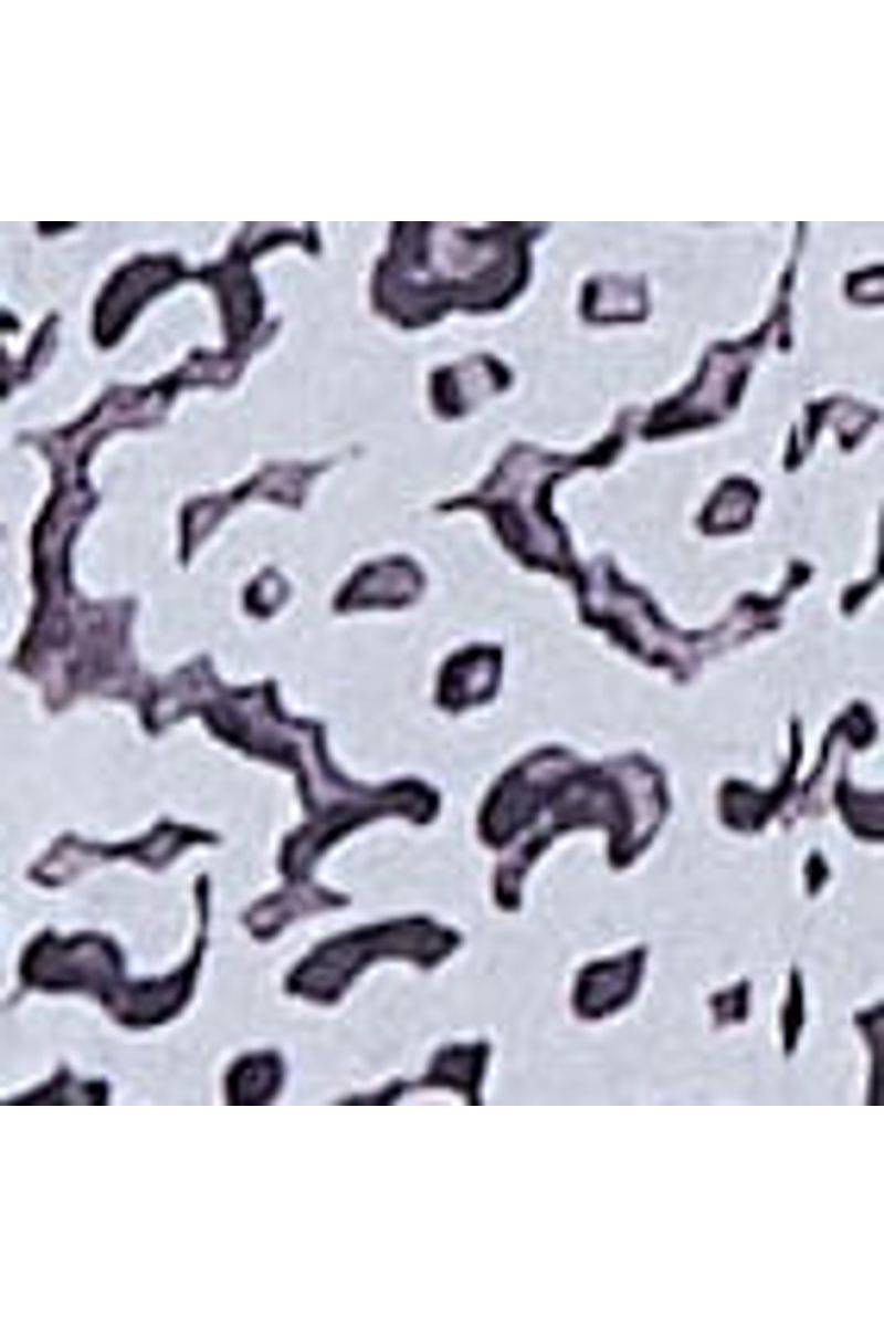 Vestido De Georgette Leve Curto Manga Longa Estampado