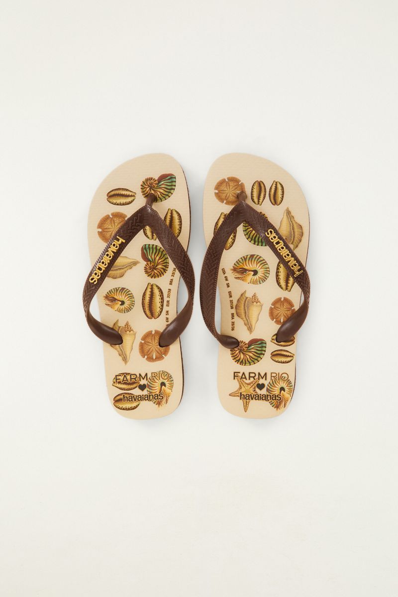 Havaianas Conchas