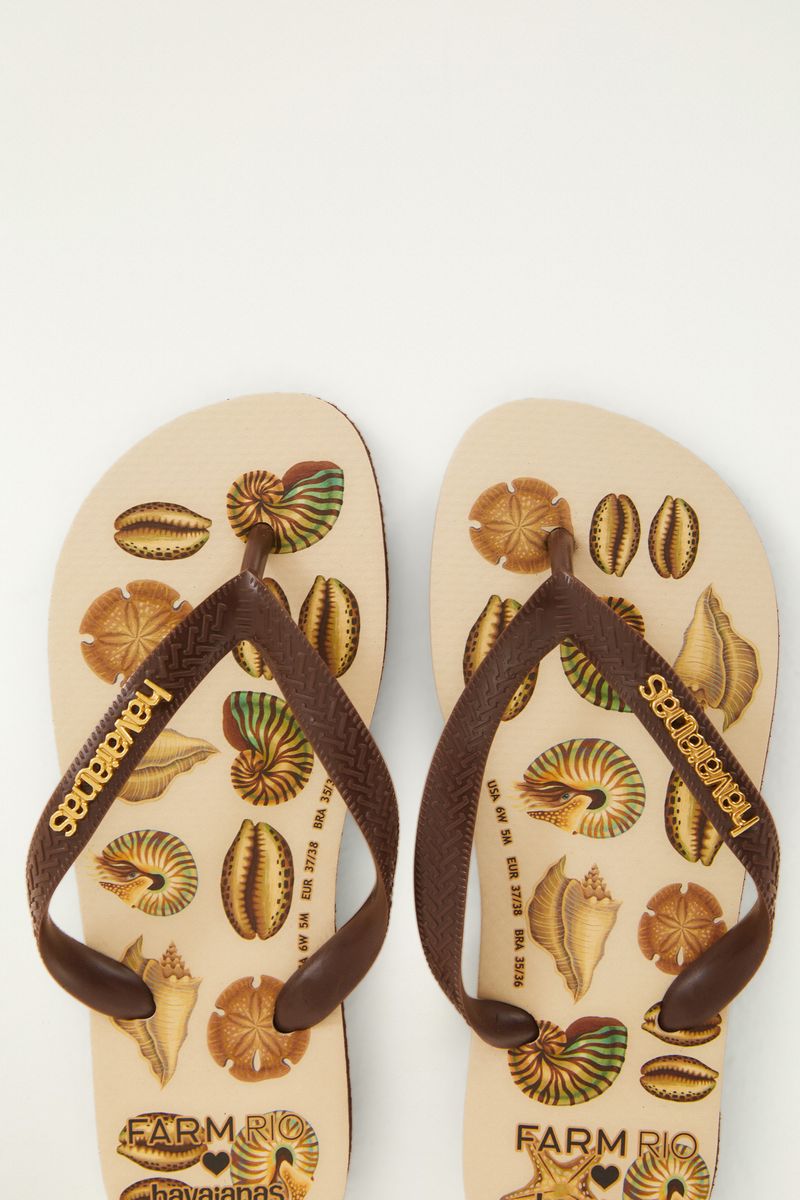 Havaianas Conchas