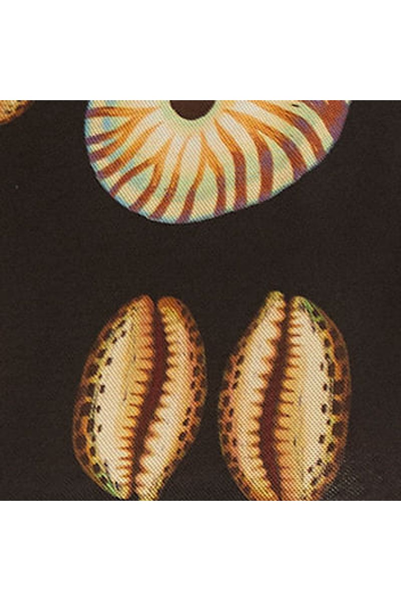 Regata Tule Estampada Conchas