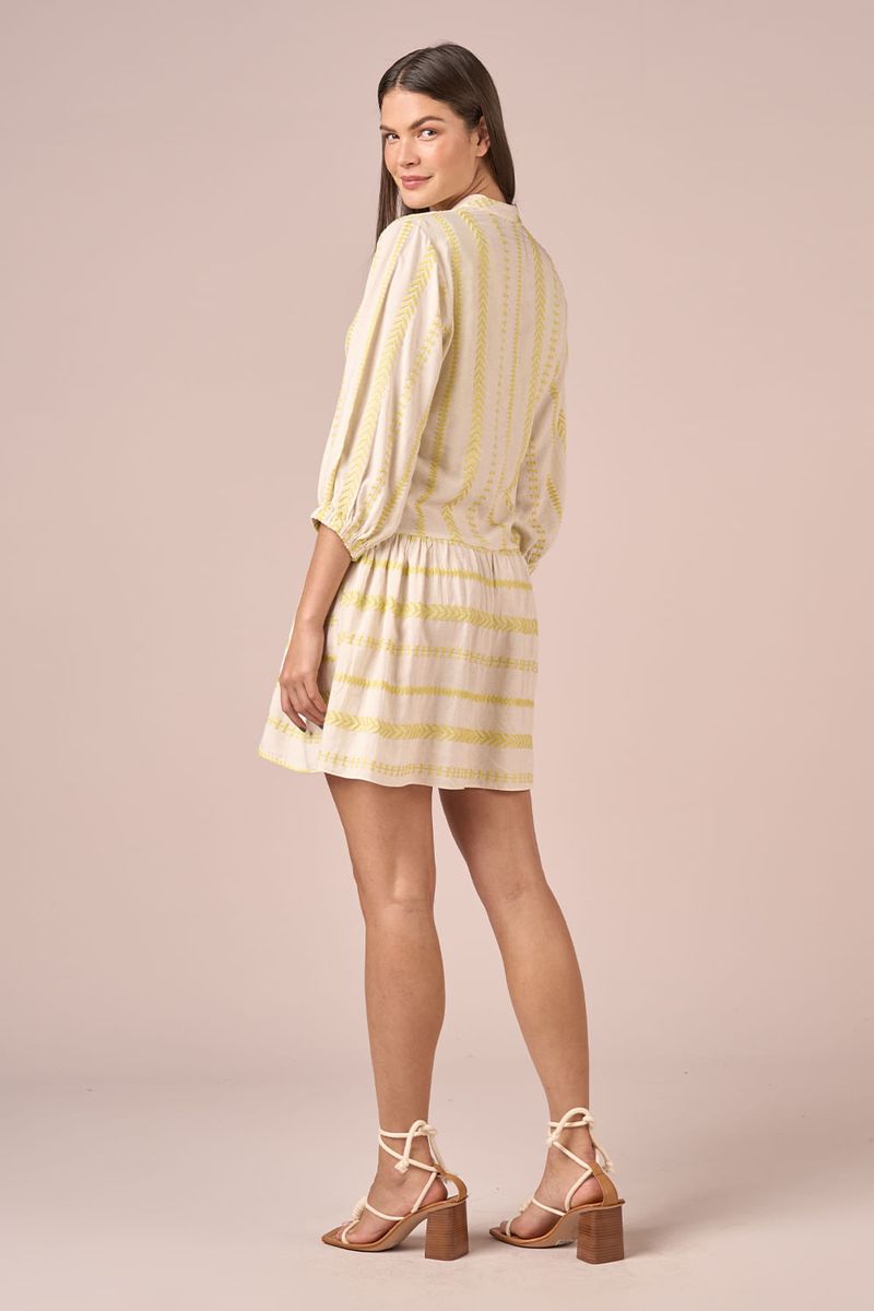VESTIDO CURTO VISCOSE BORDADA-ACIDO