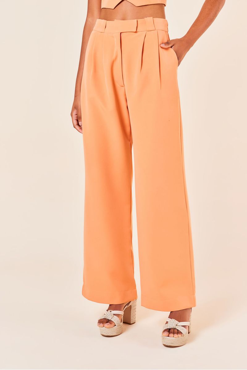 Calça Pregas Ampla com Bolso Faca -TOPAZIO