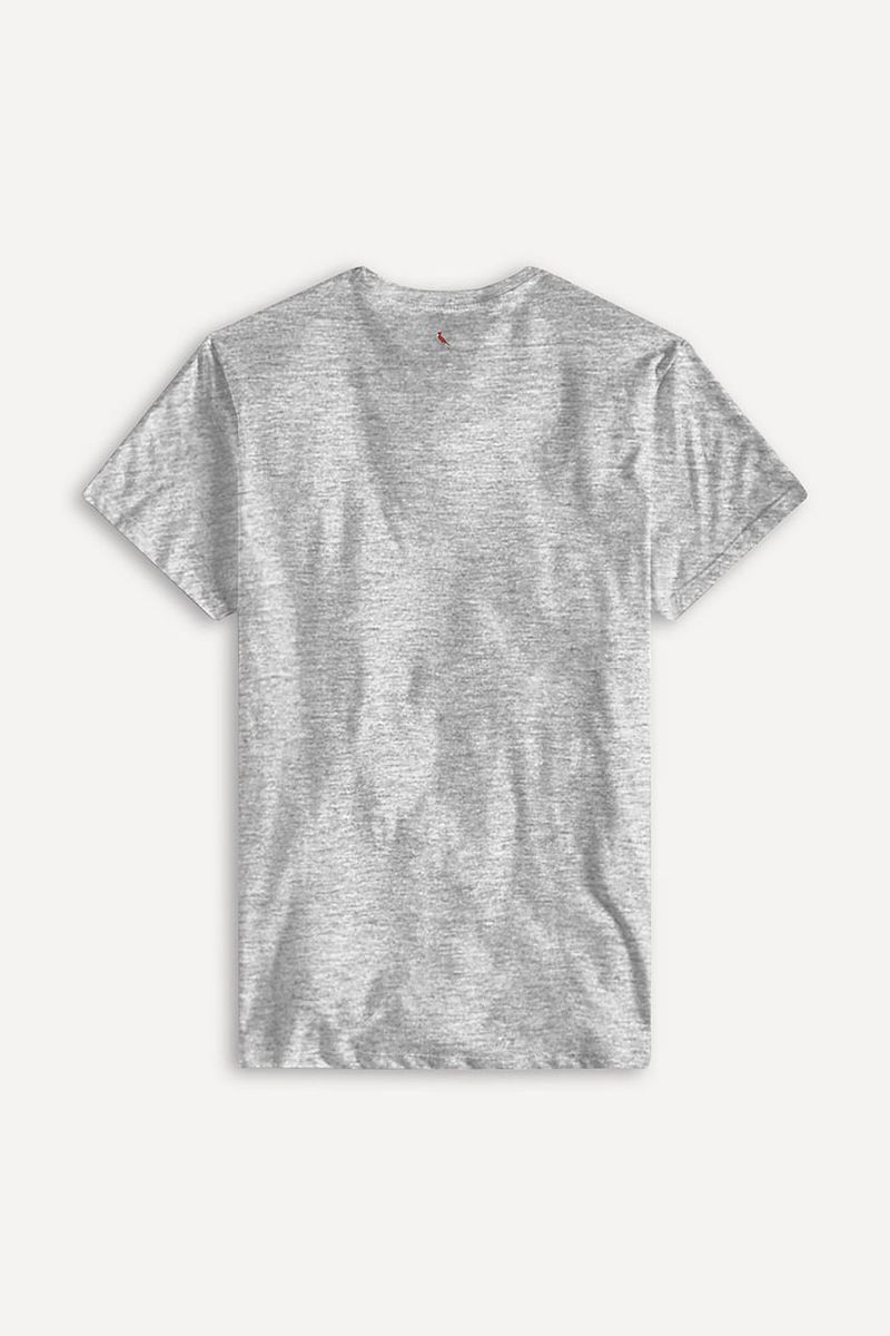 Camiseta Basica Premium