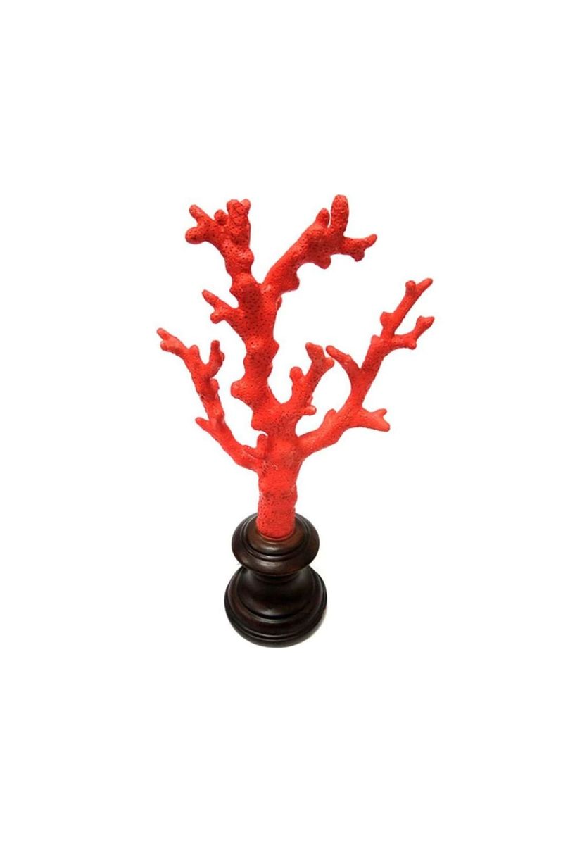 Coral Bardi Red M