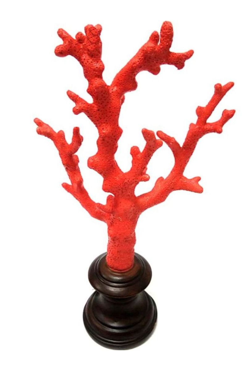 Coral Bardi Red M