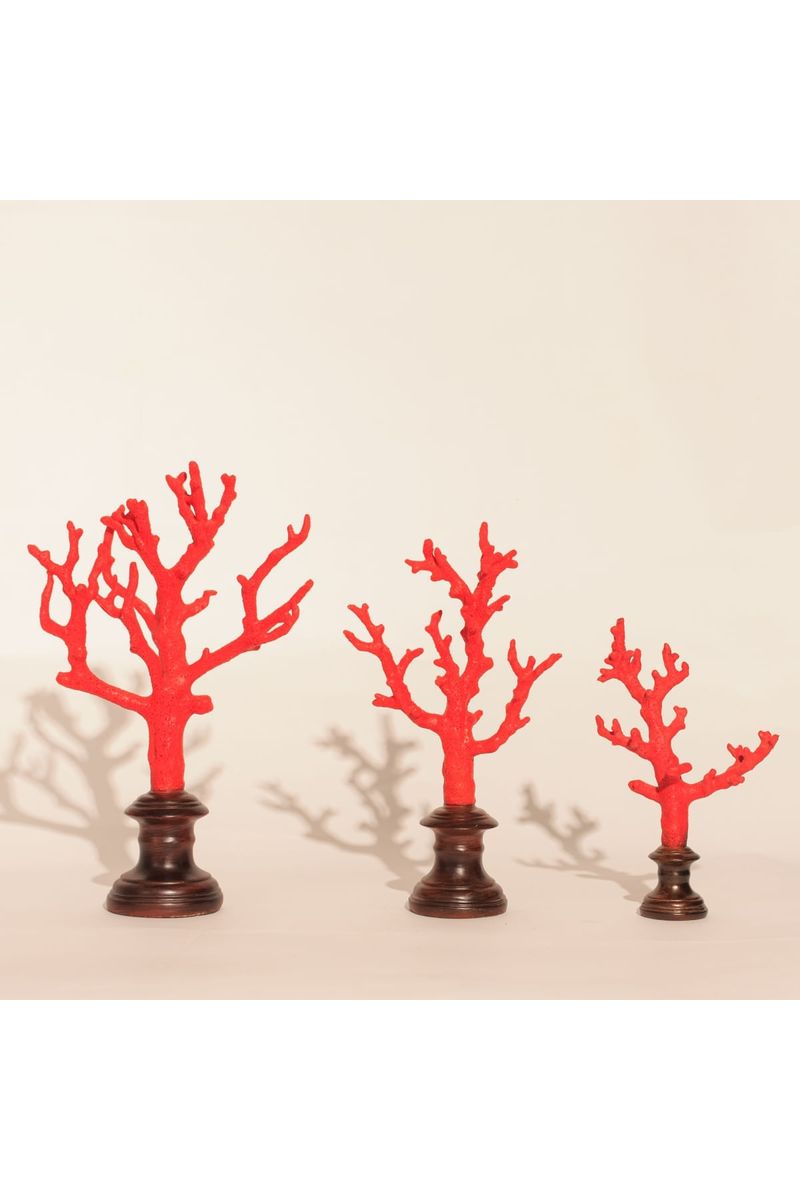 Coral Bardi Red G