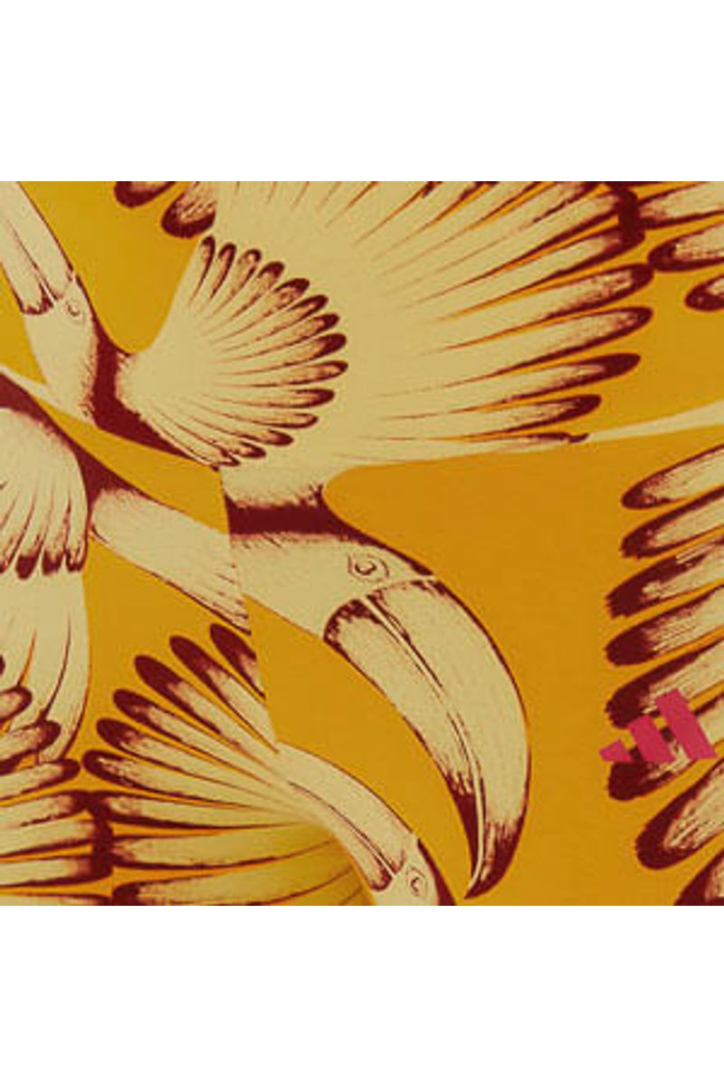 Bermuda Biker Adidas Toucan Wings