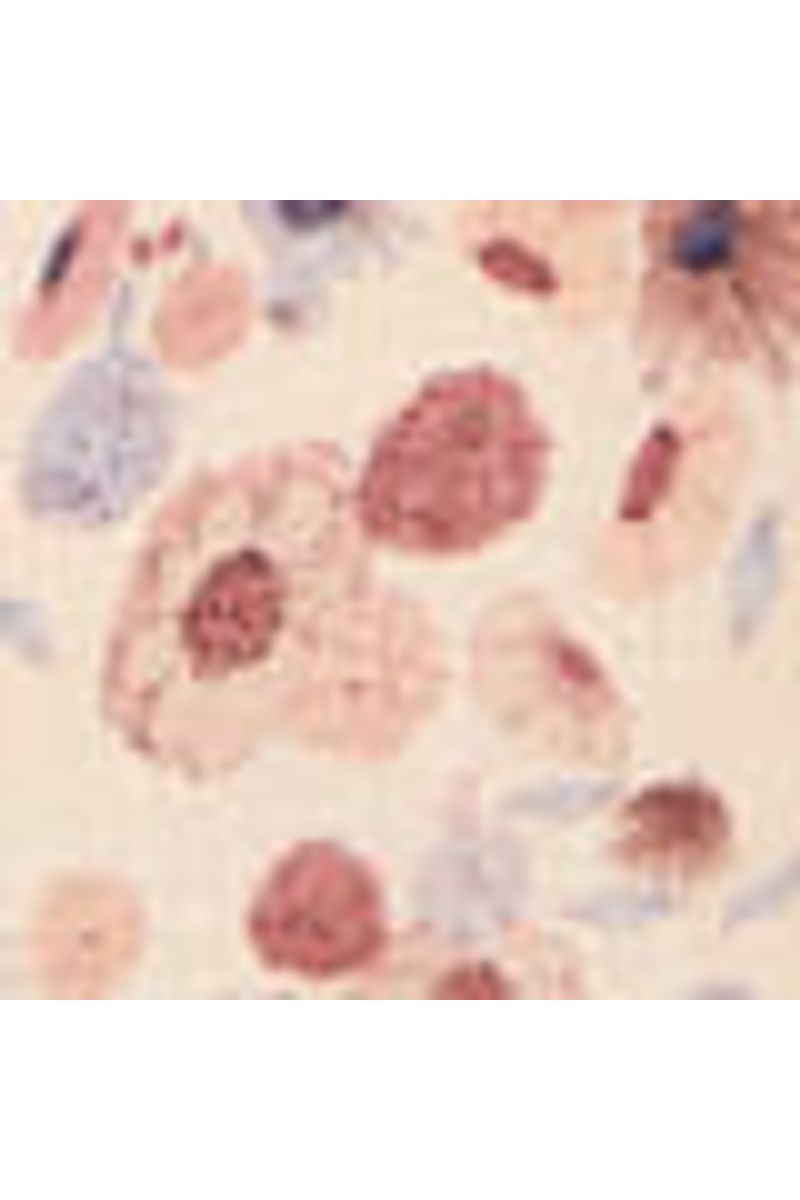 Blusa Linho Estampa Fleur Mini