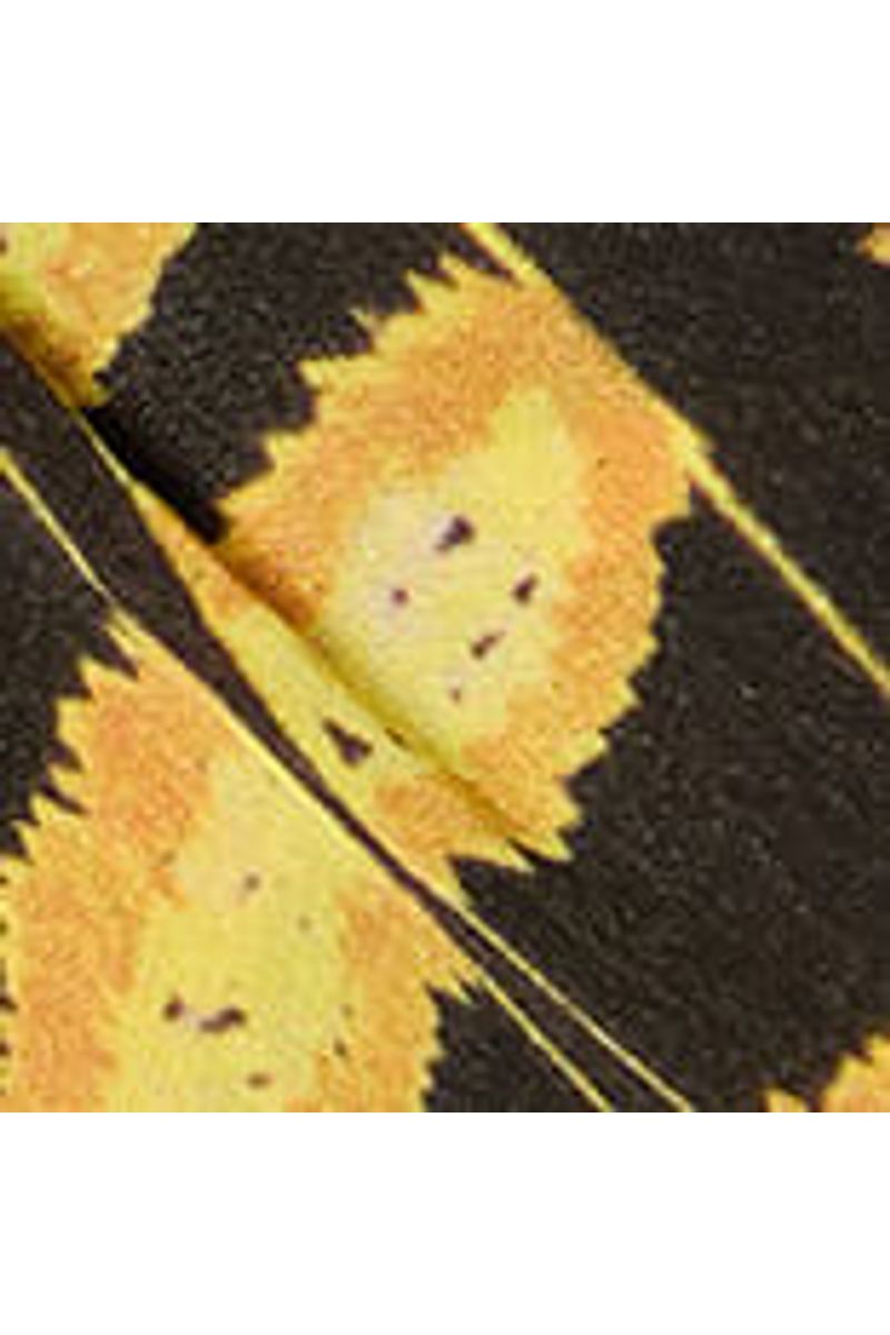 Top Frente Única Estampado