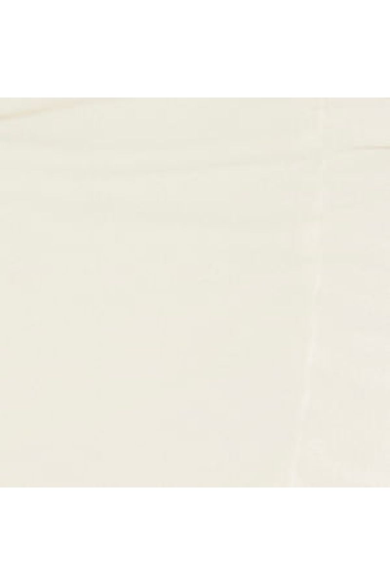 Saia Cropped