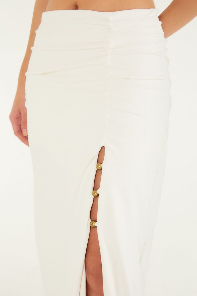 Saia Cropped