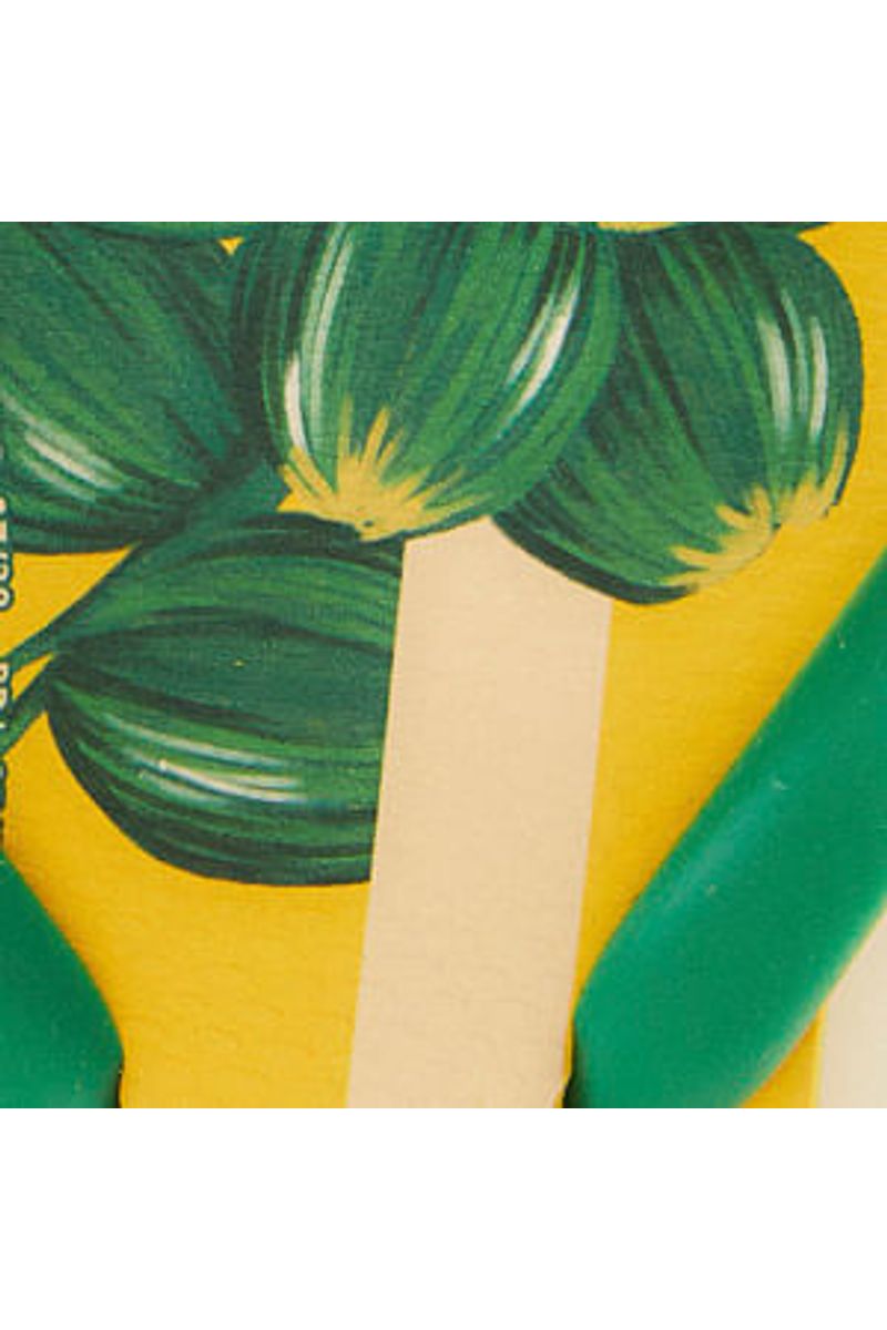 Havaianas Rj