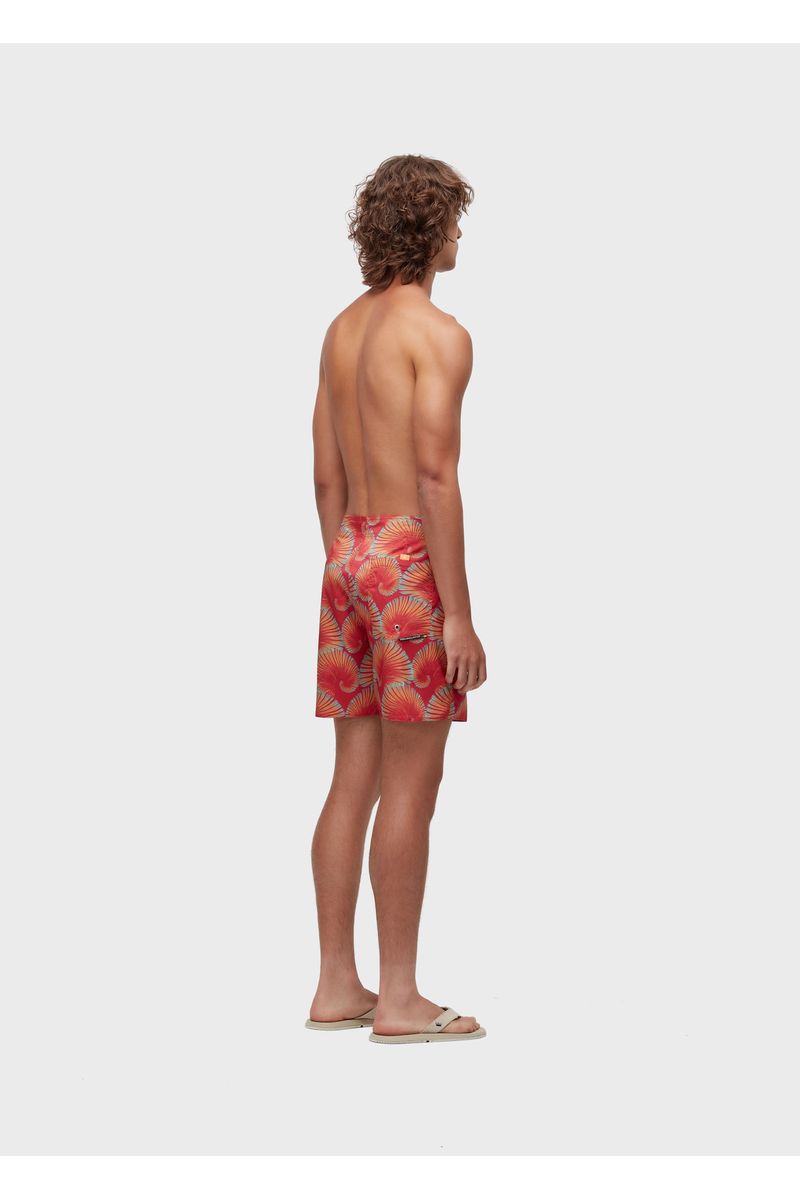 Bermuda surf aquaone flex concha haw aii