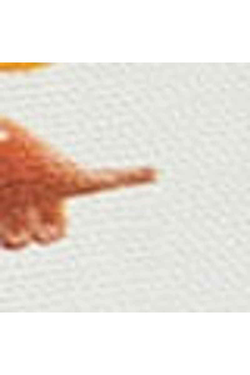 Bermuda Dinojuba