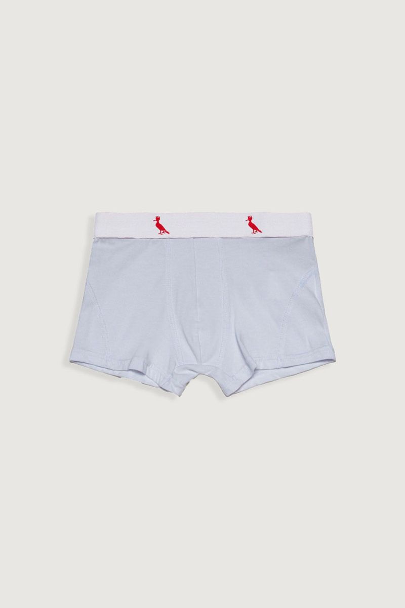 Kit 7 Cuecas Brancas Mini Boxer