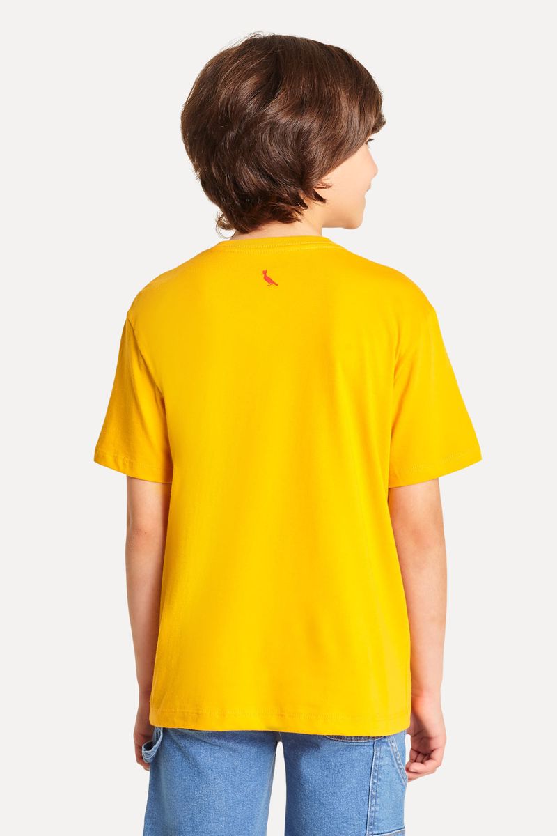 Base Mini Mostruario Camiseta