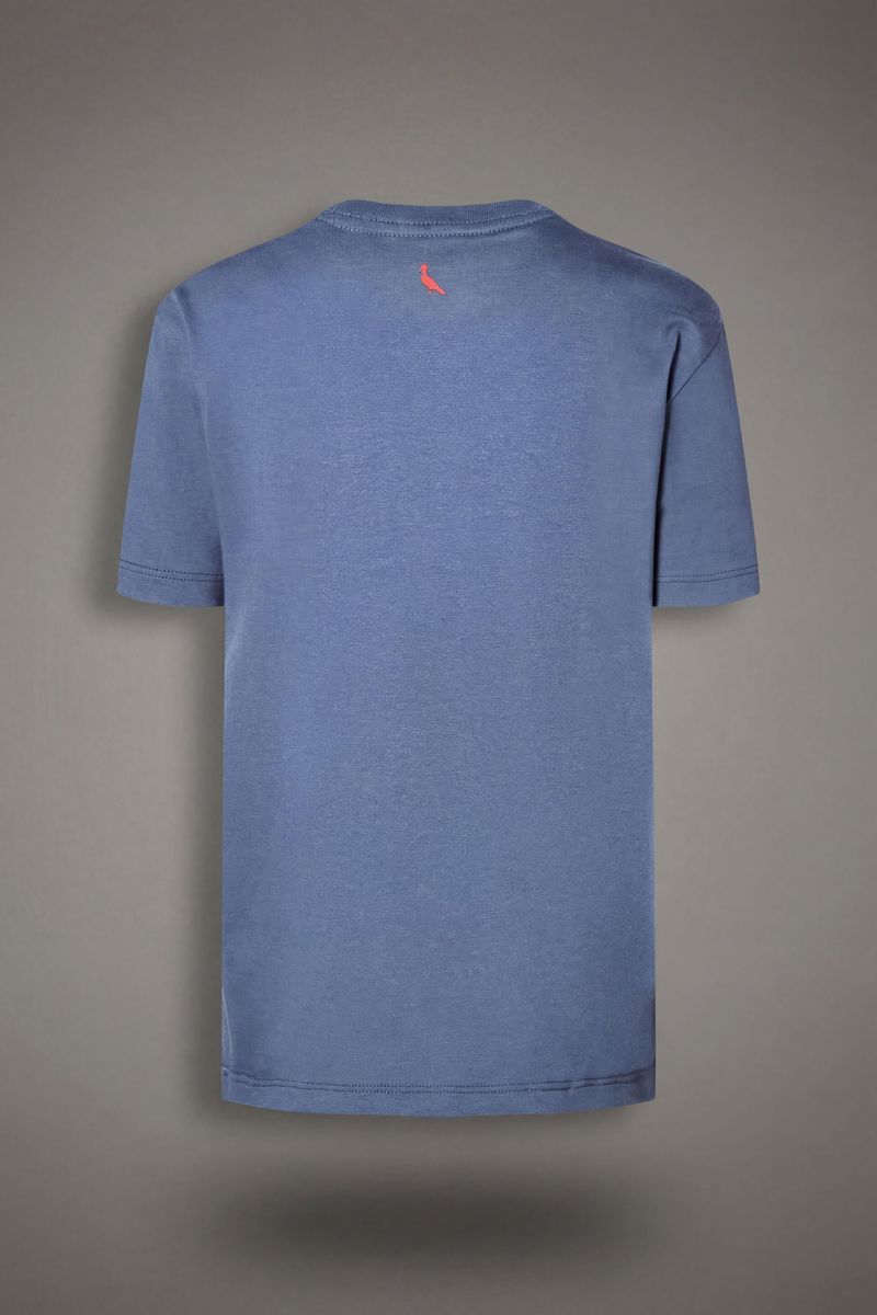 Camiseta Mini Dino Rj