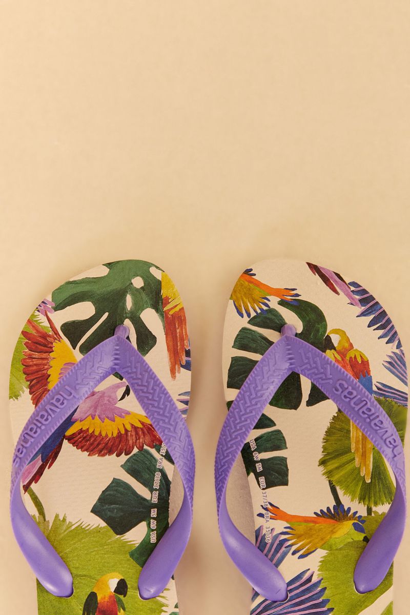 Havaianas Estampadas Pássaros Pintados