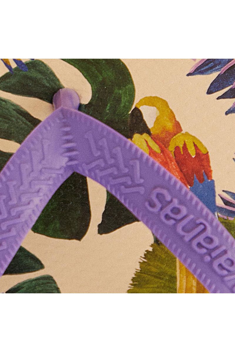 Havaianas Estampadas Pássaros Pintados