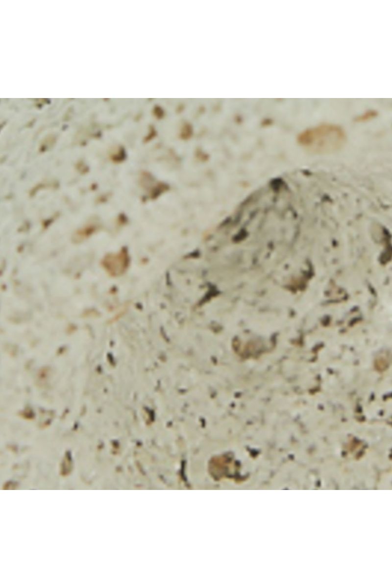 Colher Recorte Coral Cerâmica